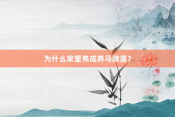 为什么家里弗成养马蹄莲？